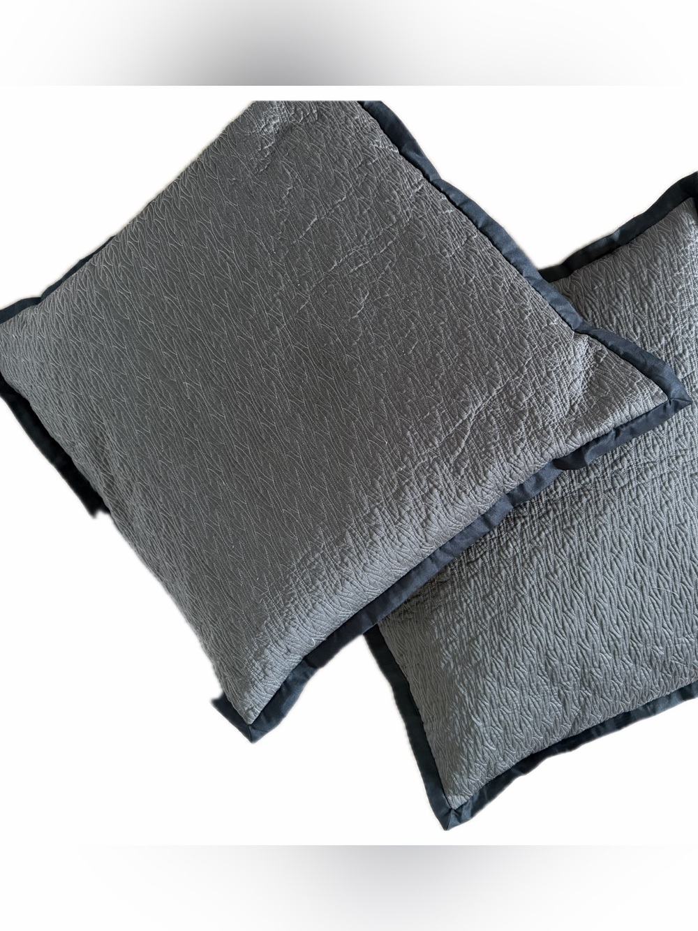 Two Decorative Throw Pillows Covers with Dark Trim (Pair) 24X 24
